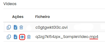 Pré-visualização de vídeos em formato MP4.